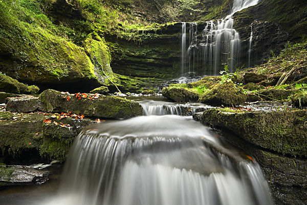 Scaleber Force